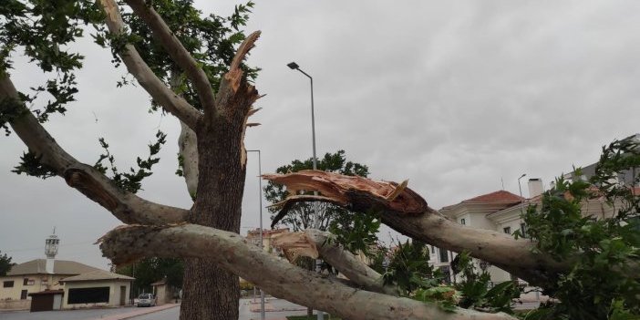 Konya'daki şiddetli rüzgar sonrası 250 acil çağrı!