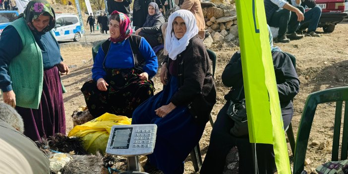 5 aylık Kızılören tulum peynirleri mağaradan gün yüzüne çıktı