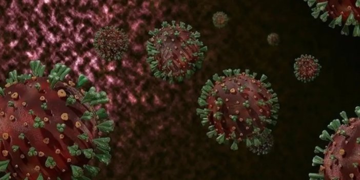 DSÖ'den M çiçeği uyarısı: Kıtayı aştı, hızla kontrol altına alınmalı