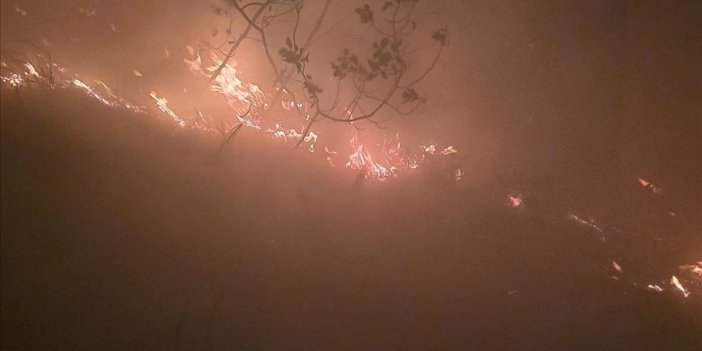 Hatay'ın ormanlık alanında yangın çıktı