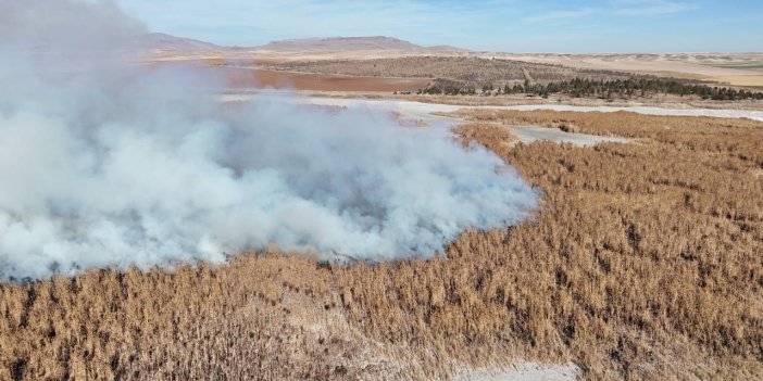 Konya'nın tamamen kuruyan kuş cennetindeki sazlıklar 2 gündür yanıyor