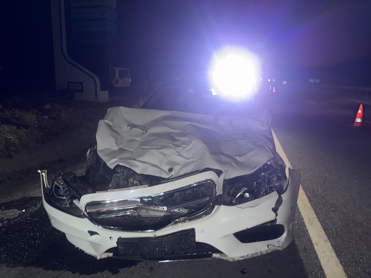 Konya'da otomobilin çarptığı 3 inek telef oldu