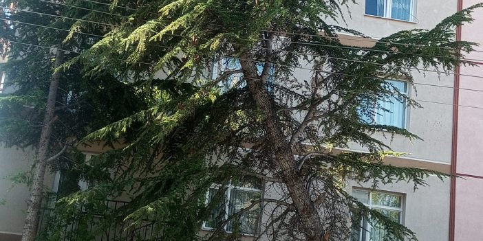 Bu görüntü Konya'dan! Tehlike oluşturuyor