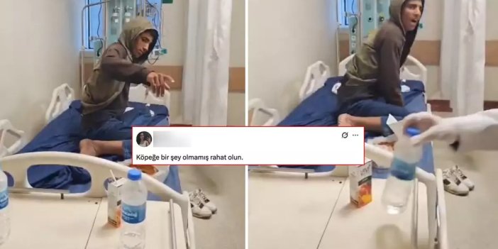 Kuduzdan hayatını kaybeden genç için yapılan yoruma tepki yağıyor