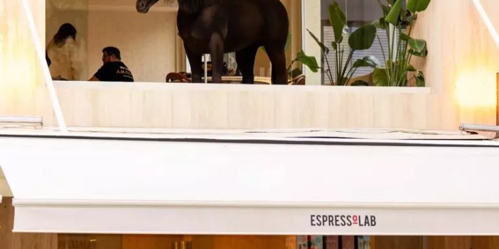 Bu 'kahve' çok konuşulur!