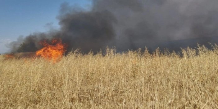 Yazık! Konya'da bir yıllık emek küle döndü