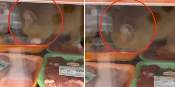 Zincir markette mide bulandıran skandal! Gören hemen kayda girdi