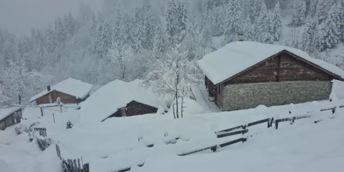 Kara kış resmen bastırdı! Şehir merkezleri beyaza büründü, onlarca köye ulaşım yok
