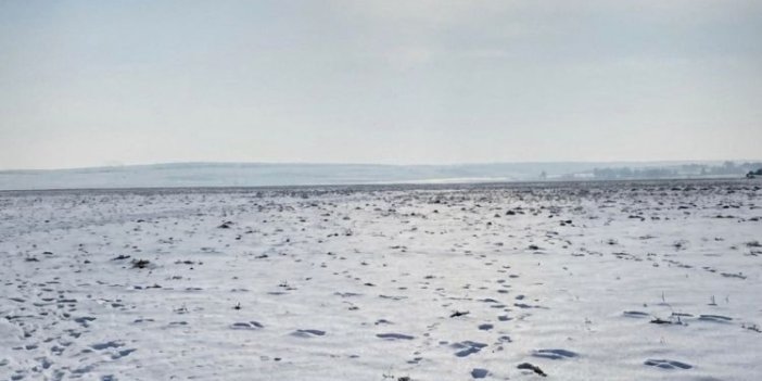 Konya Ovası’nda yağışlar çiftçiye nefes aldırdı