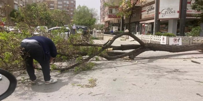 Konya'da fırtına bir ilçede daha tatil getirdi!