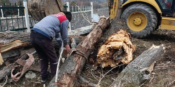 Konya'yı fırtına vurdu, ağaçlar yollara savruldu!