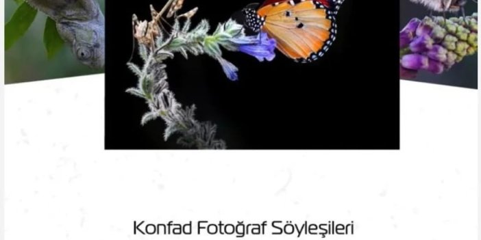 Makro Dünyasının Kanatlı Güzellikleri Konya’da