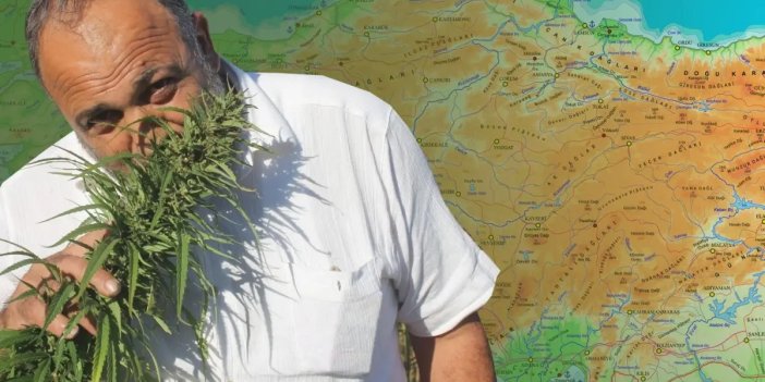 Karar Resmi Gazete'de: Konya dahil 21 ilde üretimi yapılacak