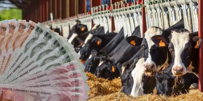 Konya ilk sırada! TÜİK verileri ile ortaya çıktı