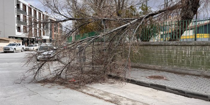 Konya'da şiddetli fırtına ağaçları kırdı! Yola savrulan ağaçlar kazaya davetiye çıkardı