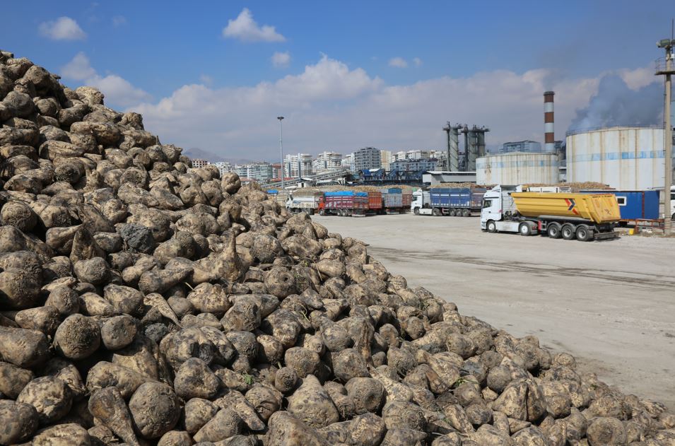 Konya Şeker’den üreticiye dev ödeme