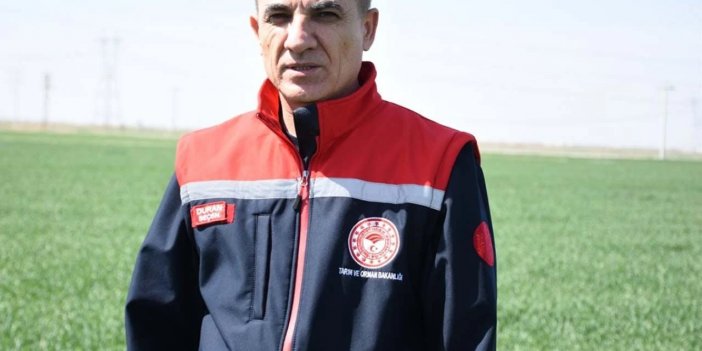 "Yeterli yağışı alabilirsek buğdayda geçen yılın rekoltesini yakalarız!"