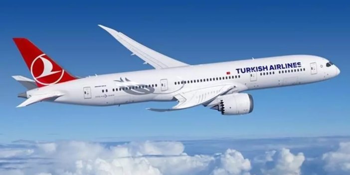 Türk Hava Yolları, 10 ülkeye uçak seferlerini iptal etti