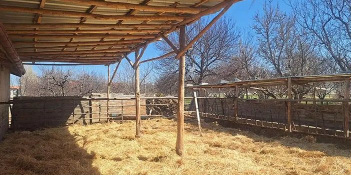 Konya’da tepki çeken görüntüler sonrası besi çiftliğinde inceleme