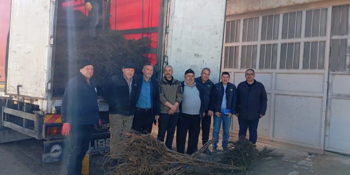 Konya Büyükşehir'in ilçelerde fidan dağıtımı sürüyor