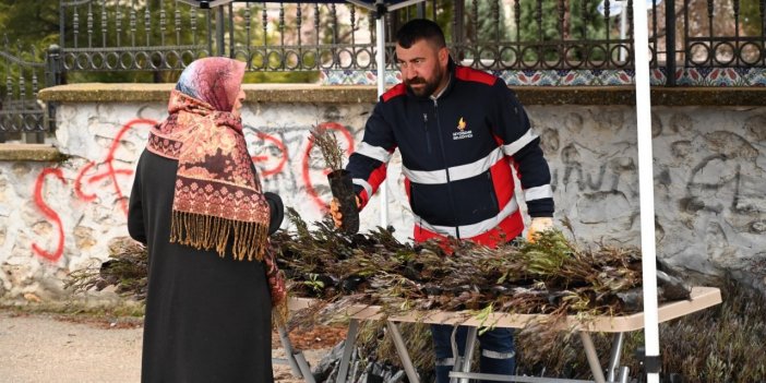 Mezar ziyaretine gelenlere lavanta fidesi