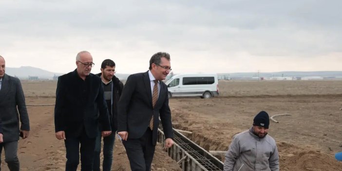 Konya'da sokak hayvanları için dev proje: Tam 10 bin metrekare!