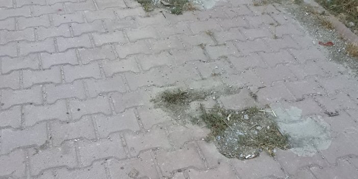 Konya'da o replik gerçek oldu! 'Baba durak yok'