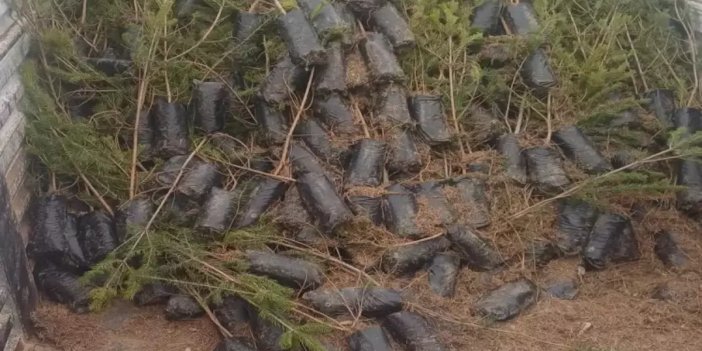 Konya’nın bir ilçesinde ücretsiz dağıtılıyor! Bugün başlıyor