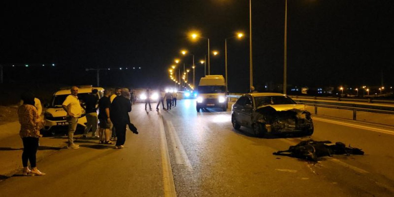 Otomobilin çarptığı 17 küçükbaş hayvan telef oldu