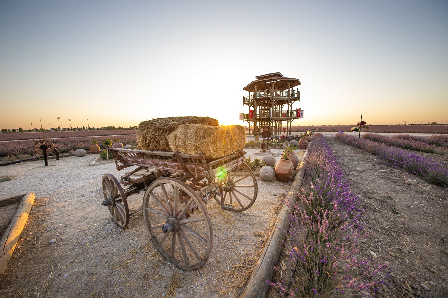 Karatay Lavanta Bahçesi kapılarını açıyor