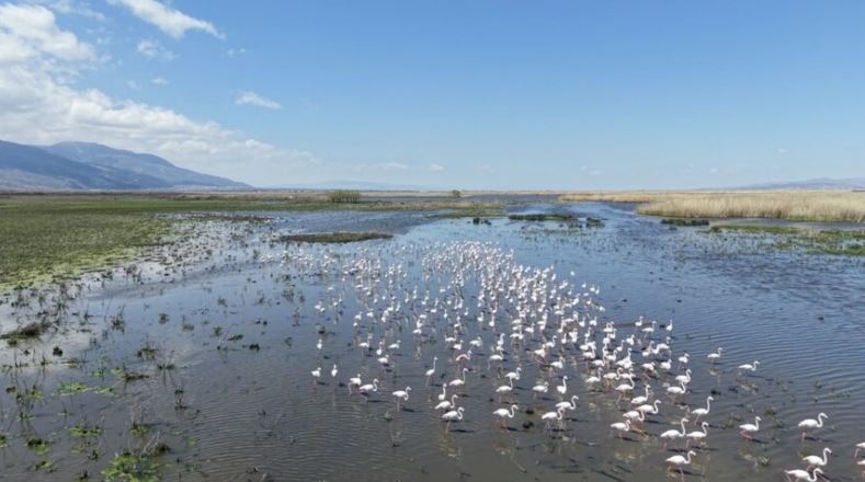 Kuraklık riski altındaki Eber Gölü'nün su seviyesi üç kat arttı