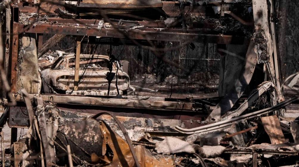 ABD'nin Georgia eyaletinde orman yangınlarında 120'den fazla ev kül oldu