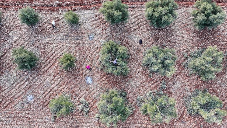 Güneydoğu'daki 9 ilin üretim çeşitliliğini artıracak yatırımlar teşviklerle ivme kazanacak
