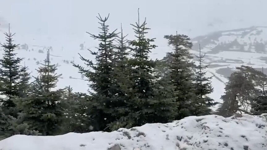 Bolu ve Düzce'nin yüksek kesimlerine mayısta kar yağdı