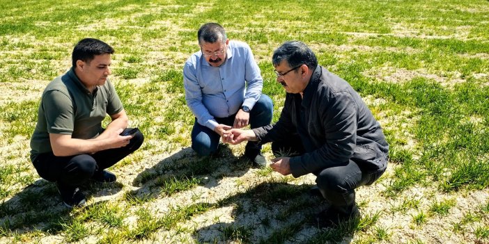 Konya'da ekim alanları incelendi