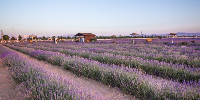 Binlerce ziyaretçi gününü merak ediyordu: Konya'da o bahçe bugün açıldı