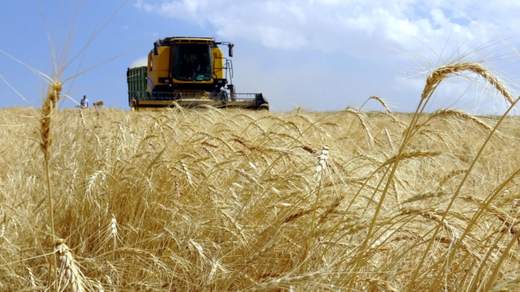 Çiftçilere tarımsal destekleme ödemesi bugün yapılacak