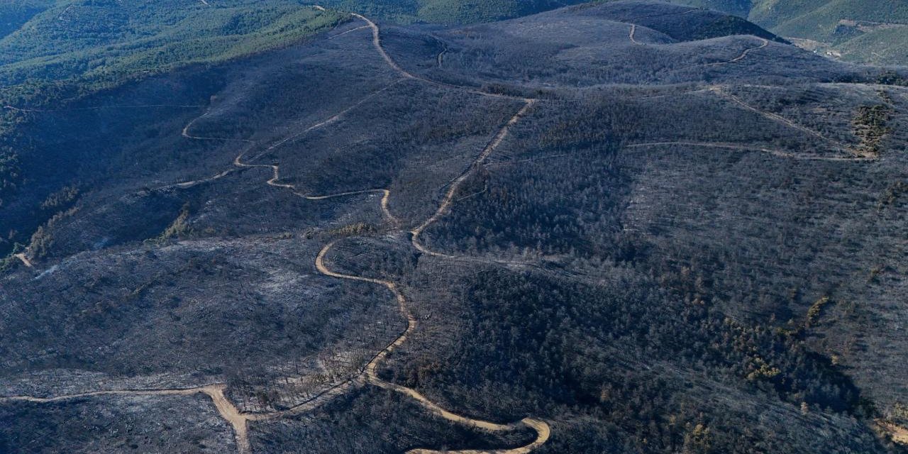 İzmir'deki orman yangınları kontrol altında
