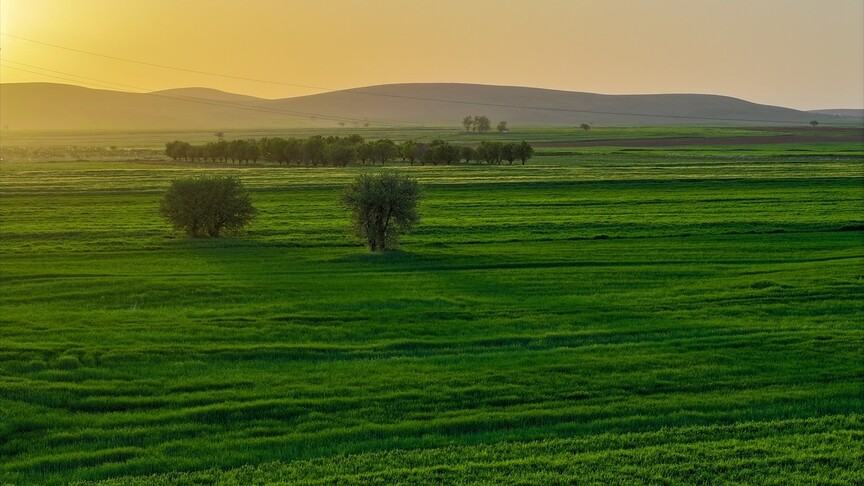 Konya'da yağışlar tarımda enerji maliyetlerini düşürdü