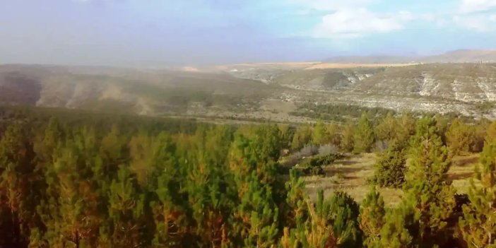 Konya’nın 13 ilçesinde ormanlık alanlara girişler geçici olarak sınırlandırıldı