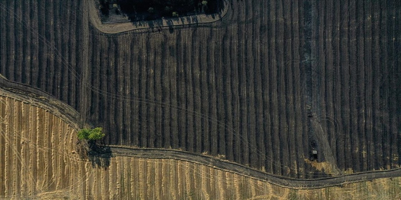 Bursa'da yangından zarar gören kampüsteki ormanlık alan dronla görüntülendi