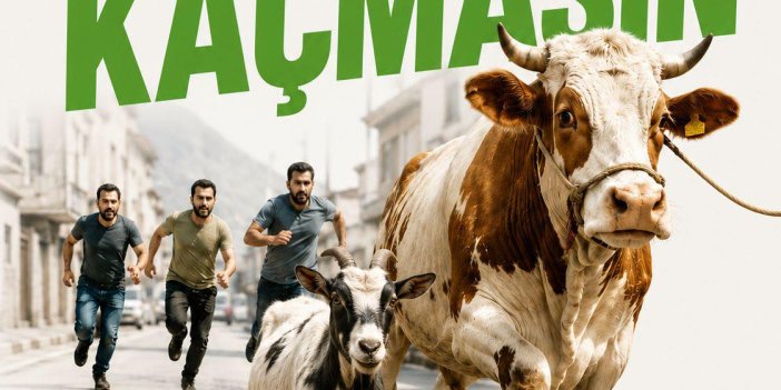 Konya'da kaçan kurbanlıklar için özel ekip kuruldu
