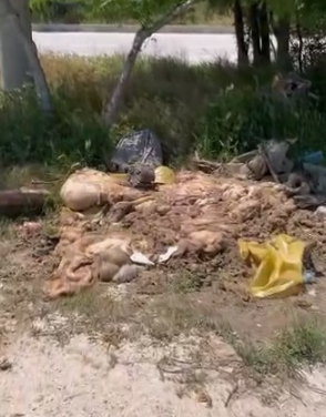 Konya’da çevreyi rahatsız eden görüntü: Kurban atıkları boş araziye bırakıldı