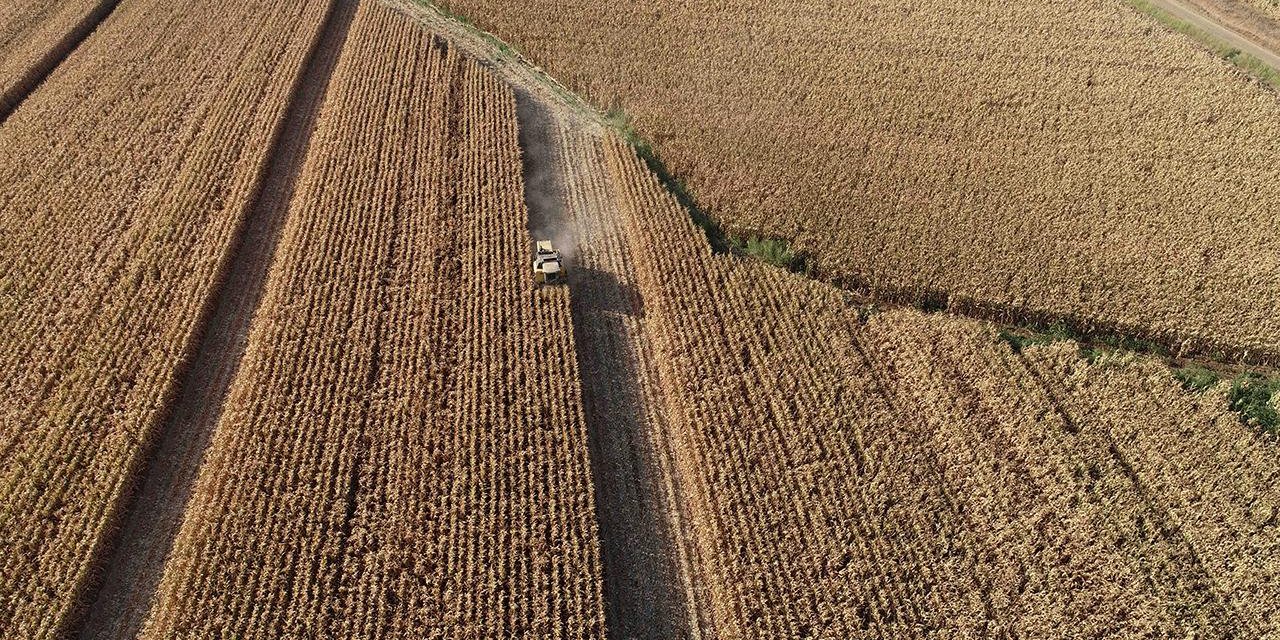Türkiye tarımsal hasılada Avrupa'da birinci