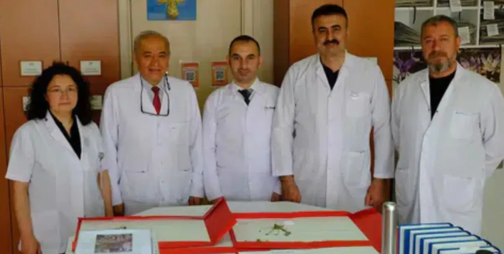 Türkiye'nin bitki hazinesine 4 yeni tür eklendi