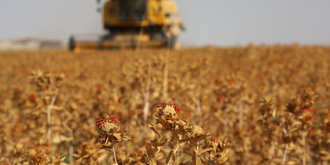 Başkan Altay, 2025 tarımsal destek kayıtlarının başladığını duyurdu