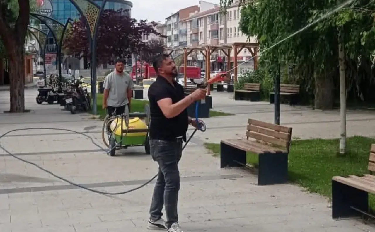 Kulu’da zehirli böceklere karşı ilaçlama çalışması