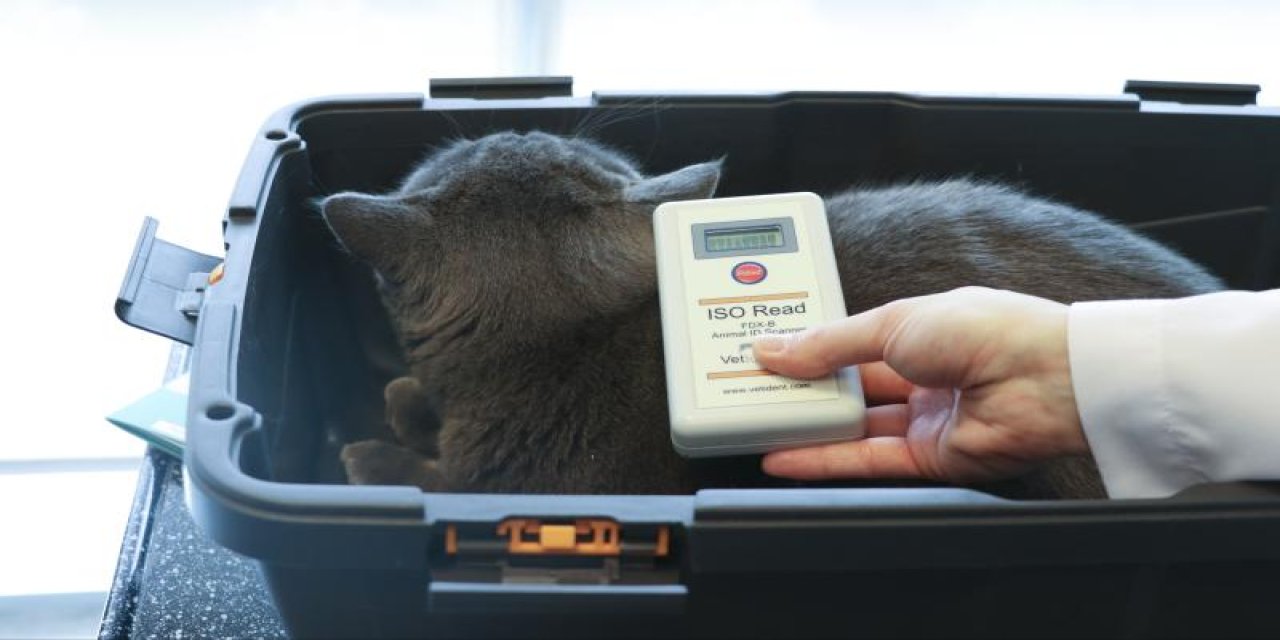 Kimliklendirilen ev hayvanı sayısı 2,4 milyona yaklaştı