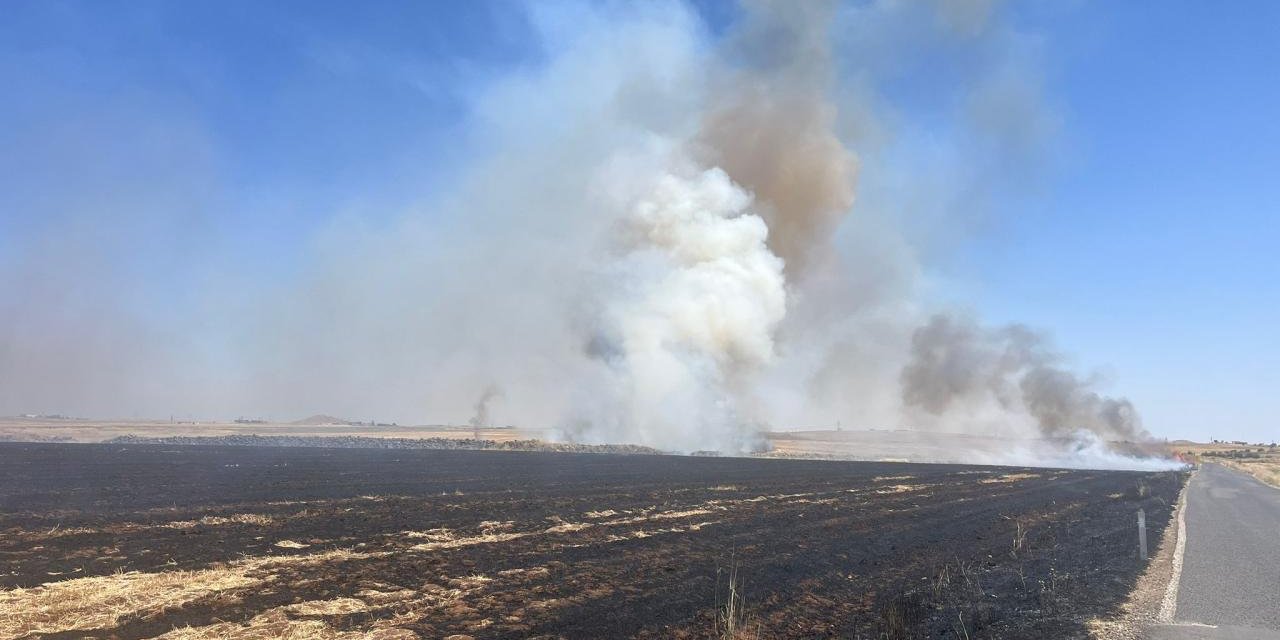 Şanlıurfa'da anız yakan kişilere 14 milyon lira ceza kesildi
