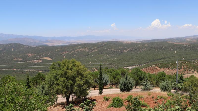 Kilis'te ormanlık alanlara giriş yasaklandı